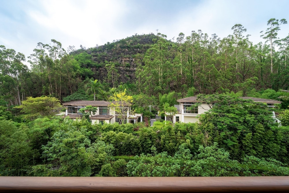 객실에서 보이는 전망