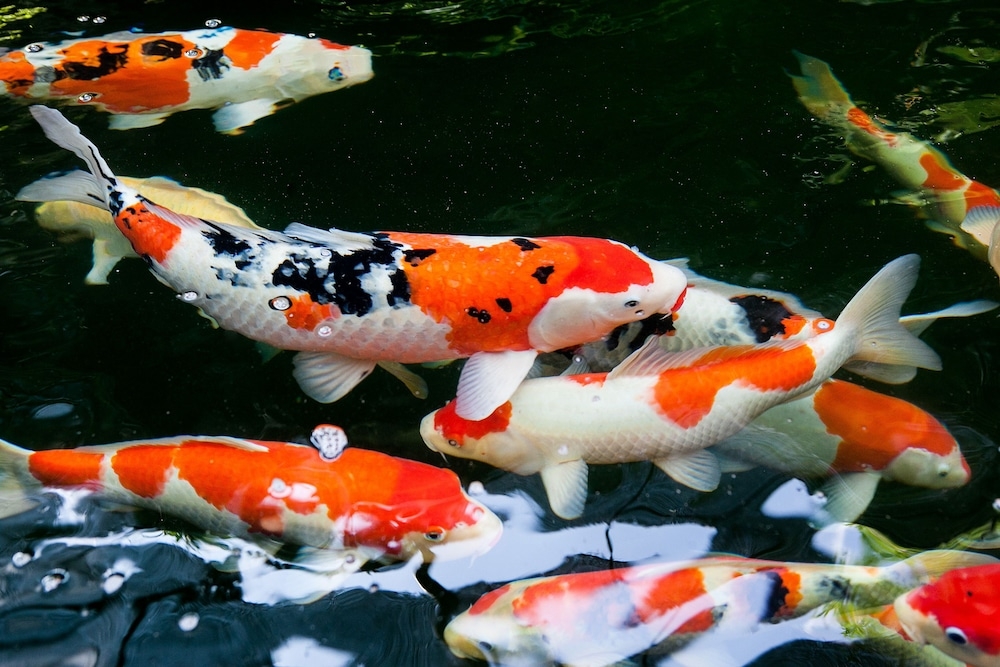 숙박 시설 내 편의 시설/서비스