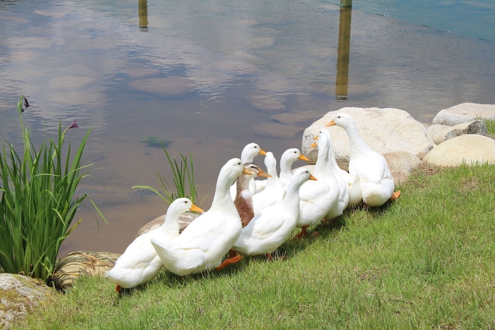 어린이 즐길거리