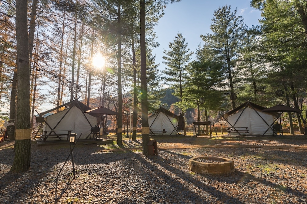 BBQ/피크닉 공간