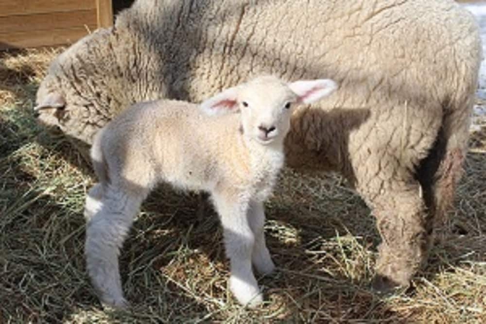 어린이 즐길거리