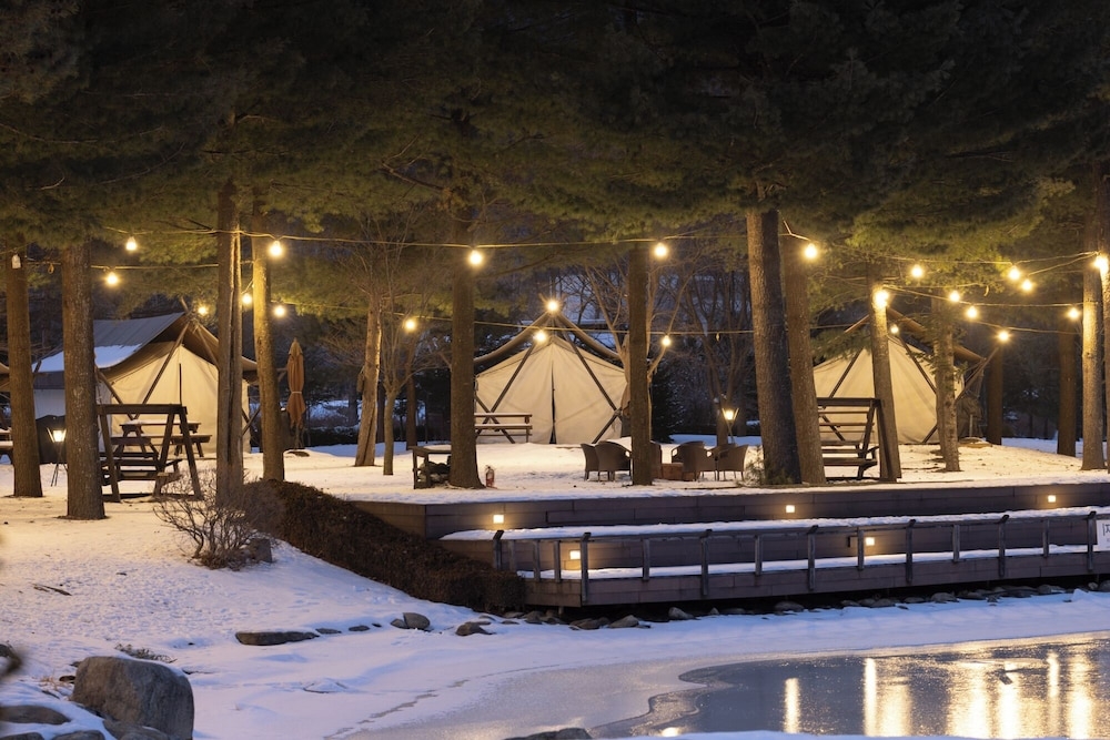 BBQ/피크닉 공간