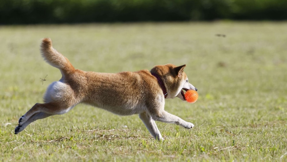 숙박 시설 내 편의 시설/서비스