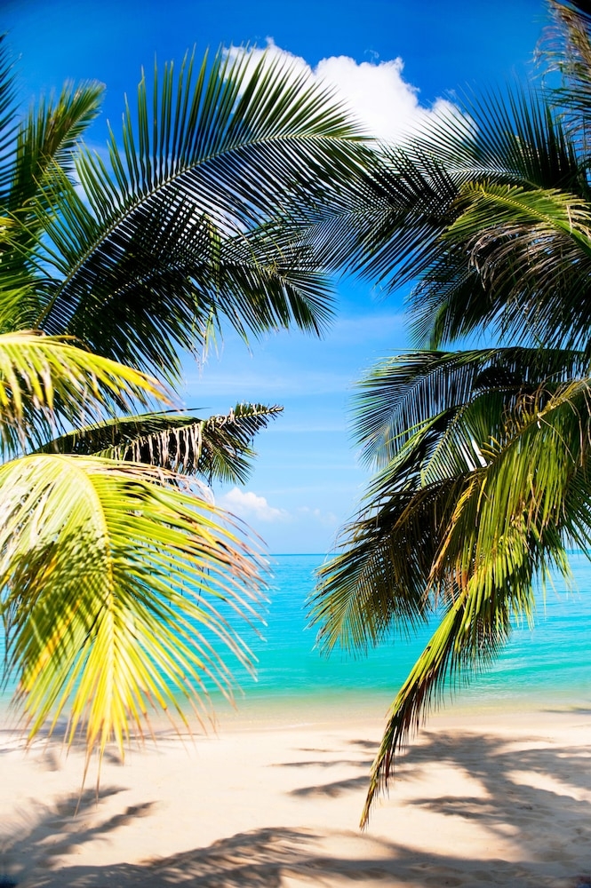 BBQ/피크닉 공간