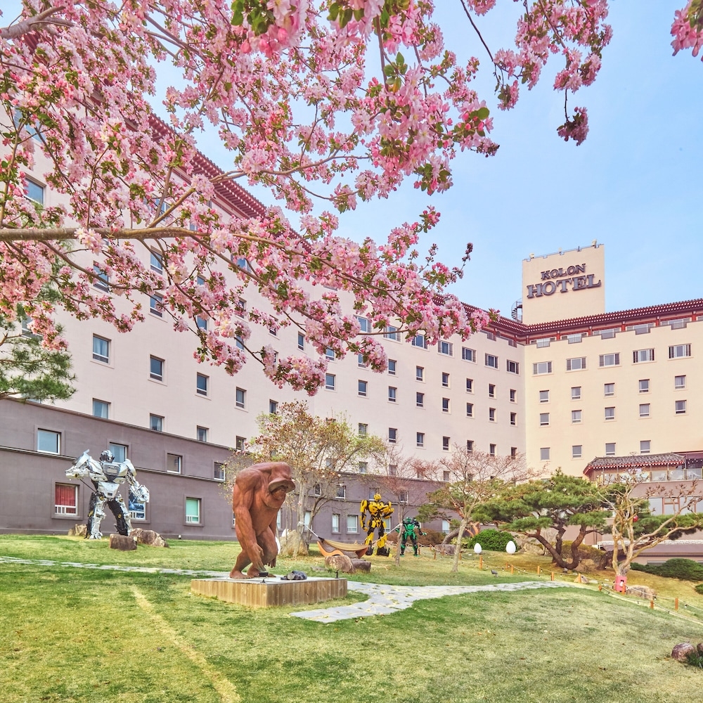 숙박 시설 정면