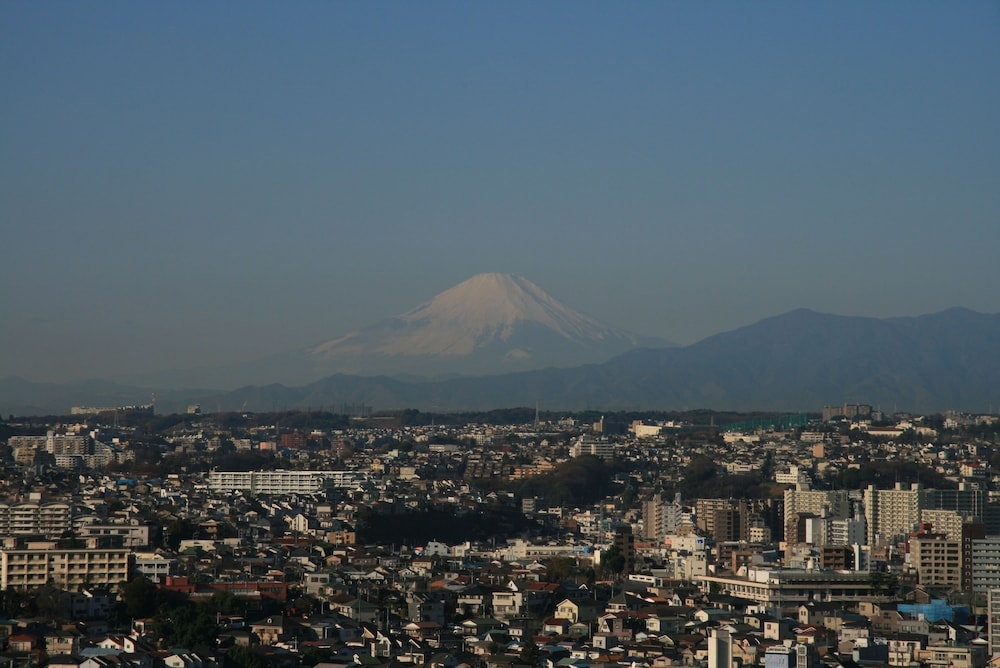 객실에서 보이는 전망