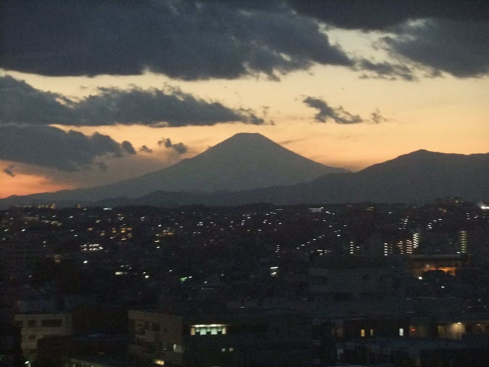 객실에서 보이는 전망