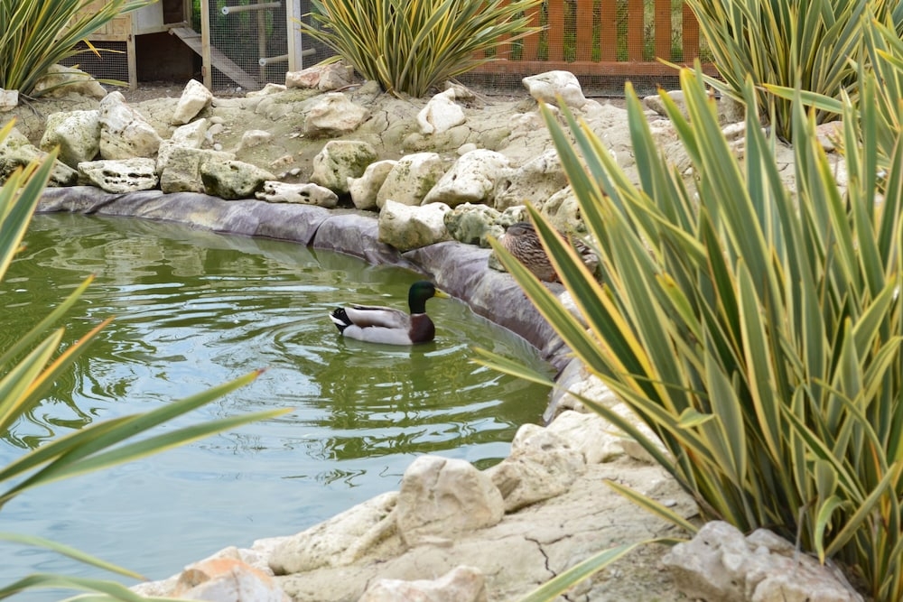 숙박 시설 구내