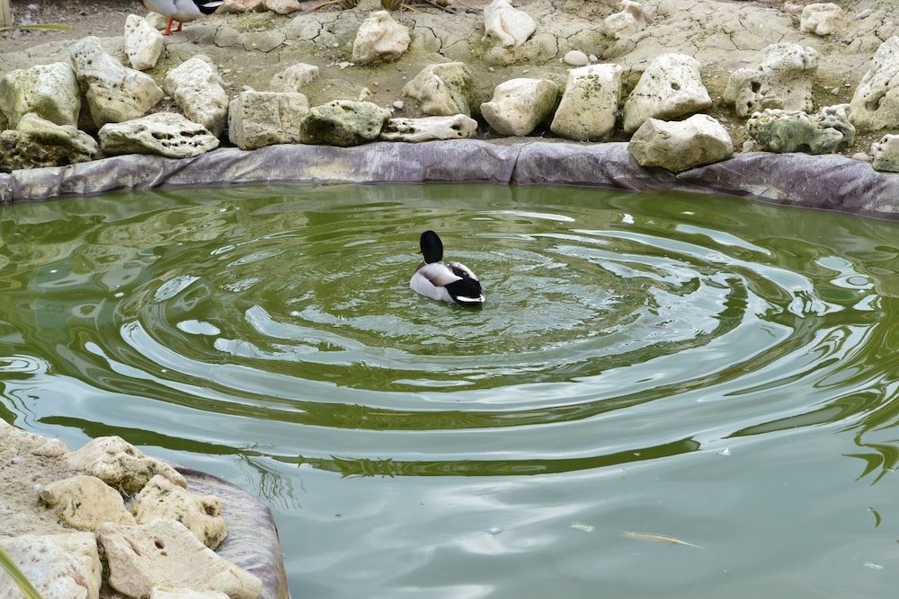 숙박 시설 구내
