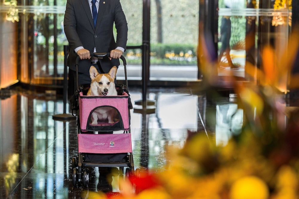 반려동물 동반 가능