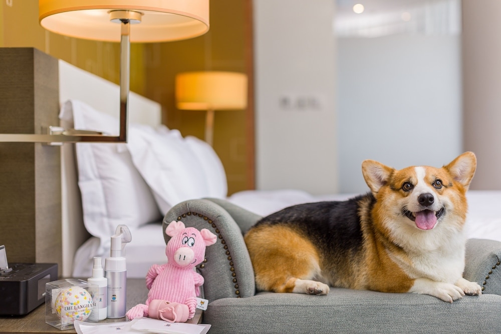 반려동물 동반 가능