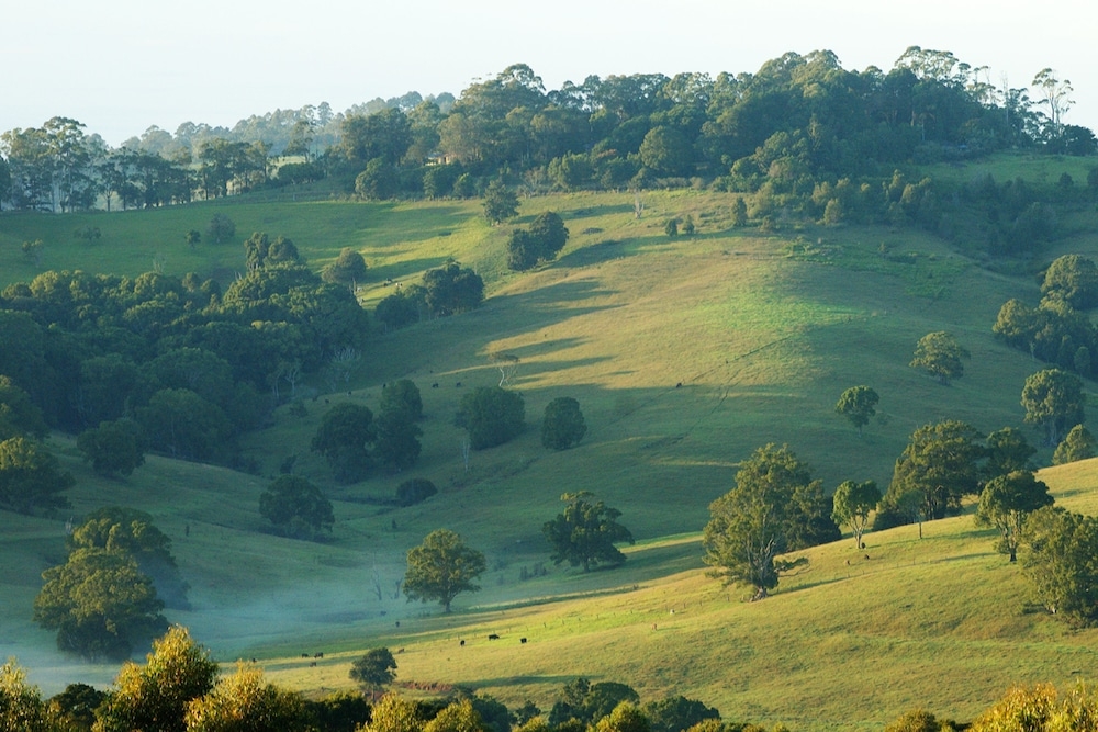 객실에서 보이는 전망