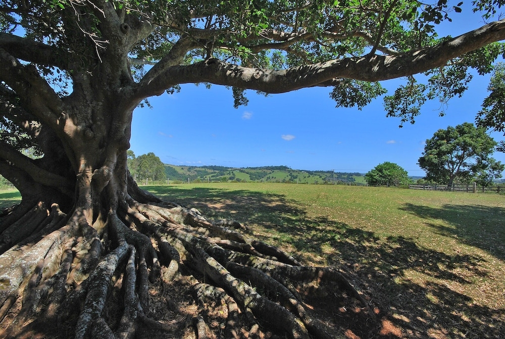 숙박 시설 구내