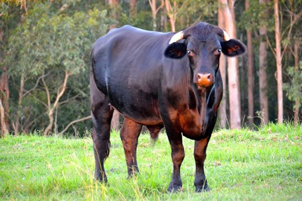 숙박 시설 내 편의 시설/서비스