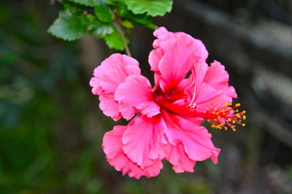 객실에서 보이는 전망