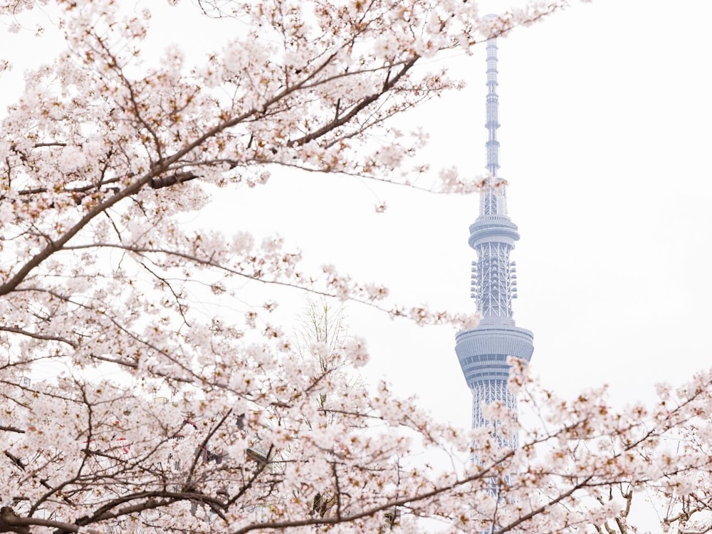 숙박 시설에서 보는 시내 전망