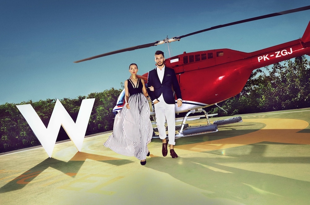 헬리콥터/비행기 투어