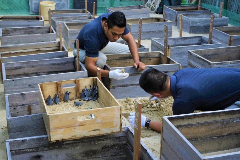 어린이 즐길거리