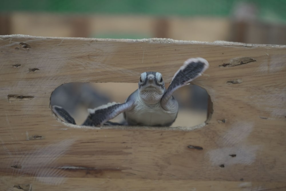 어린이 즐길거리