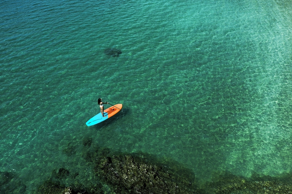 서핑/부기 보드