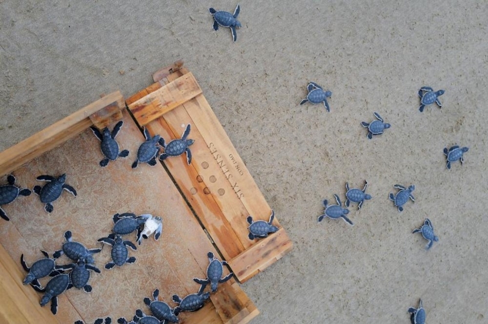 어린이 즐길거리