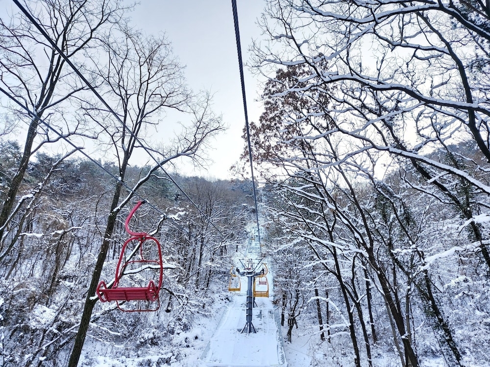 숙박 시설 내 편의 시설/서비스