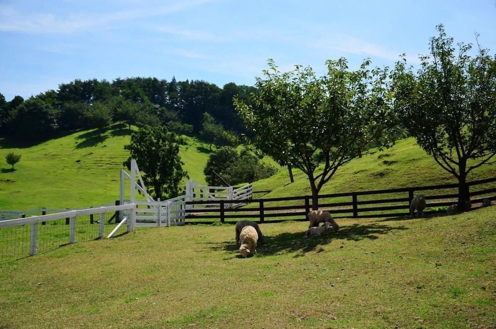 숙박 시설 구내