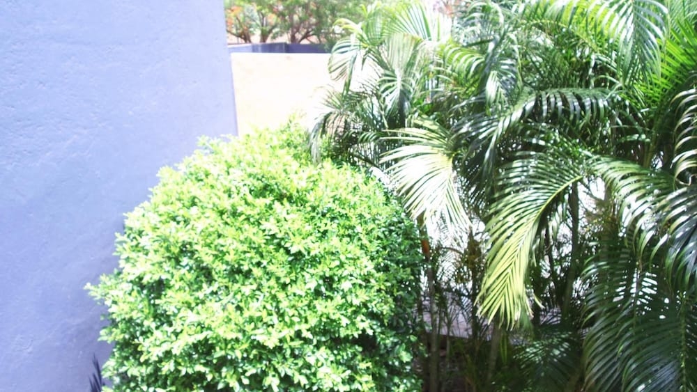 숙박 시설 구내