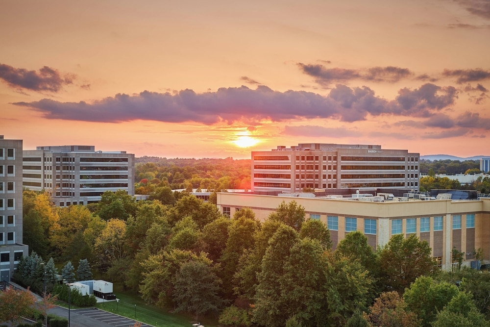 바(숙박 시설 내)