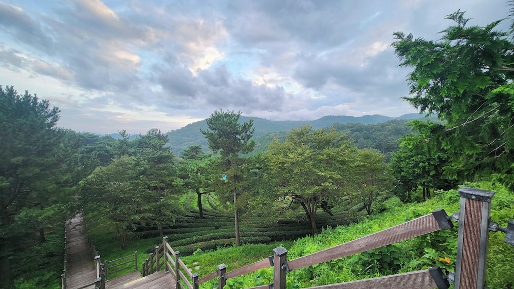 숙박 시설에서 보는 시내 전망