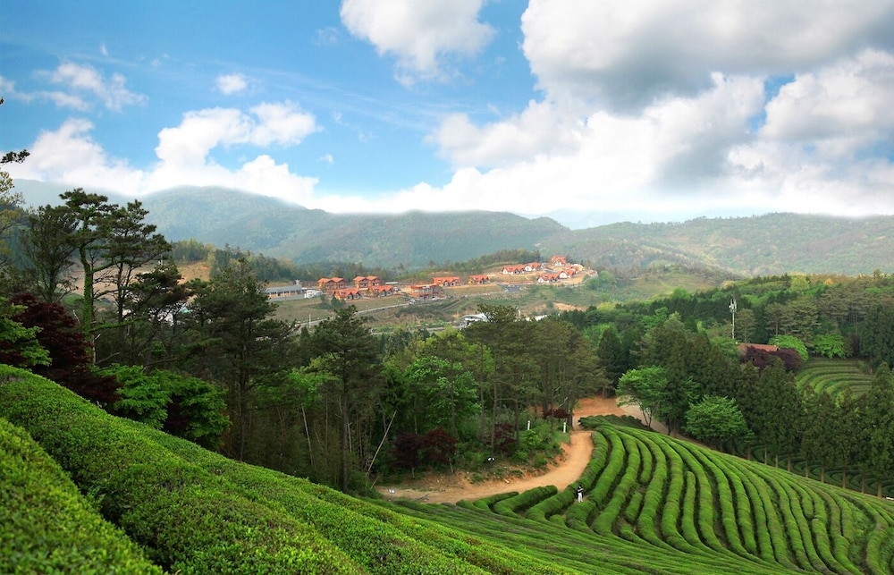 숙박 시설의 전망