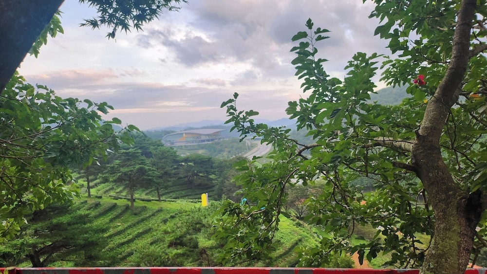 외부 세부 사진