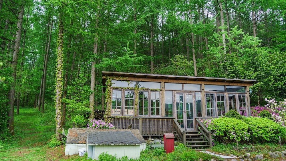 BBQ/피크닉 공간