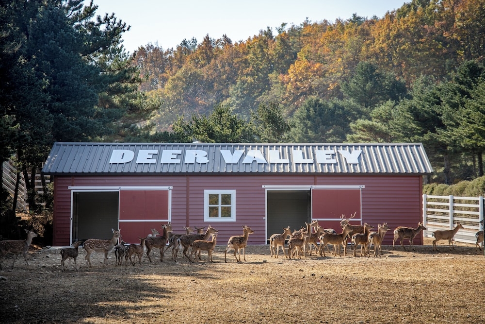 어린이 놀이 공간 - 야외