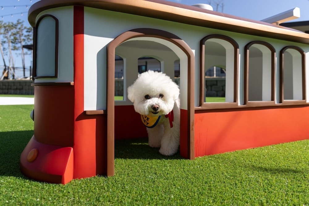 반려동물 동반 가능