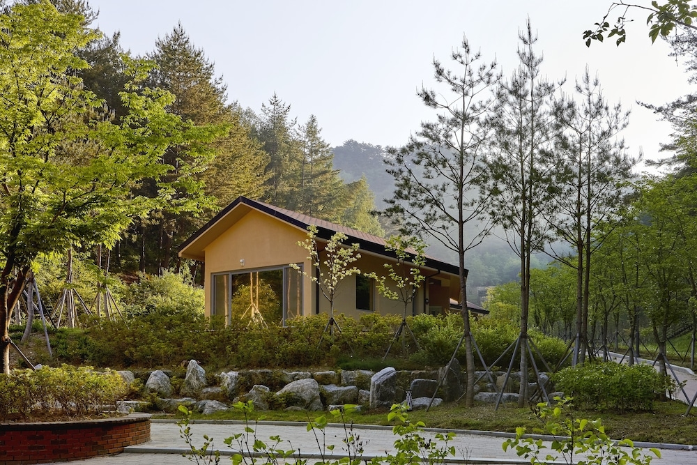 객실에서 보이는 전망