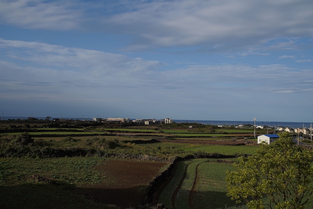 해변/바다 전망
