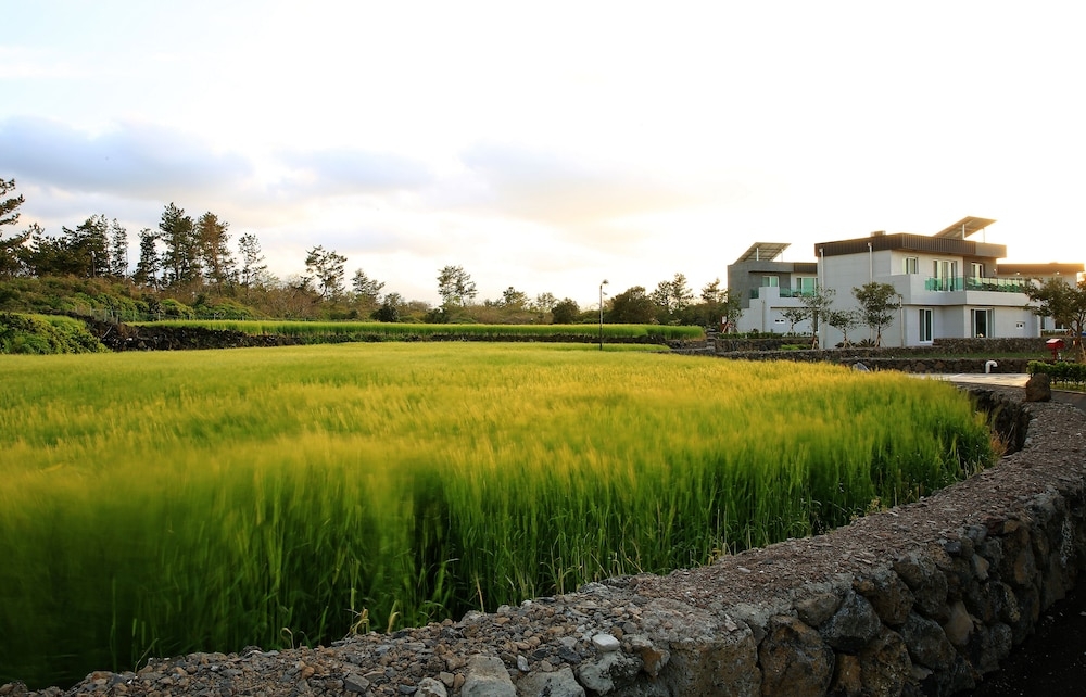 외부 세부 사진