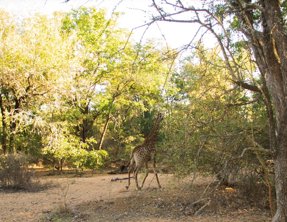 숙박 시설 구내