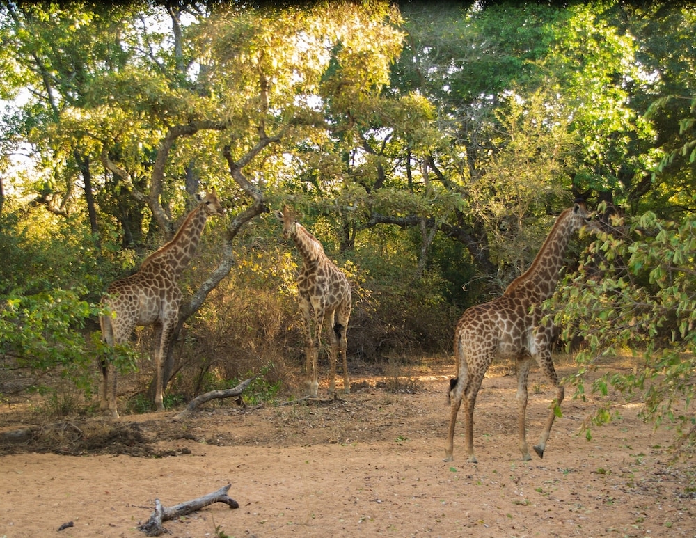 숙박 시설 구내