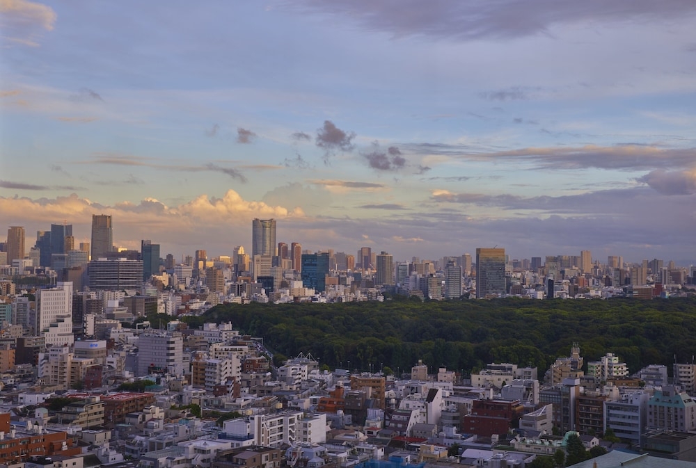 객실에서 보이는 전망