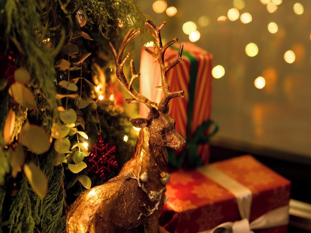 숙박 시설 정면