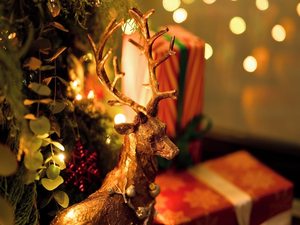 숙박 시설 정면