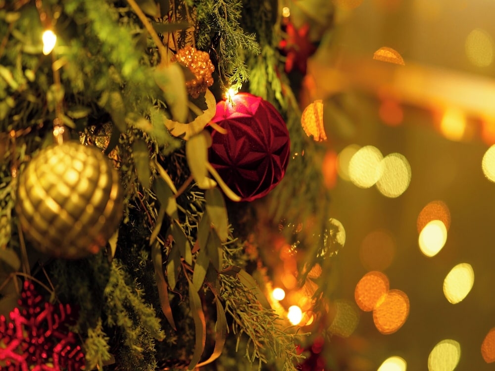 숙박 시설 정면