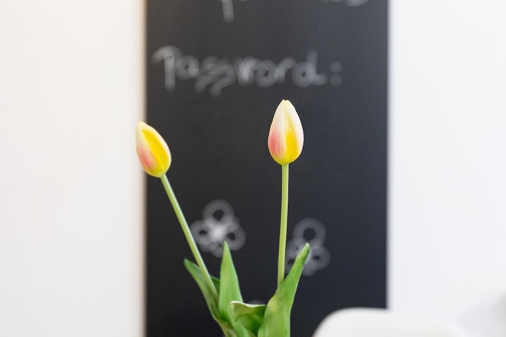 외부 세부 사진