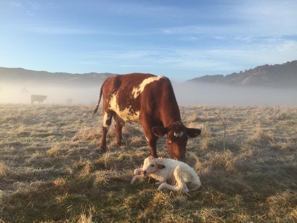숙박 시설 구내