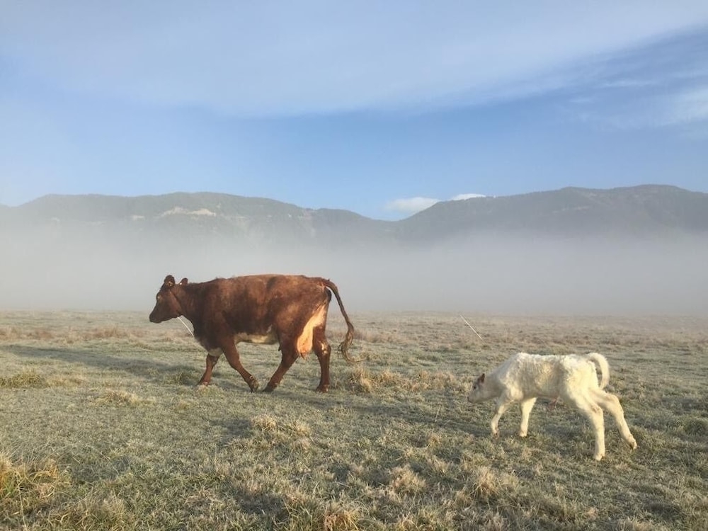 숙박 시설 구내