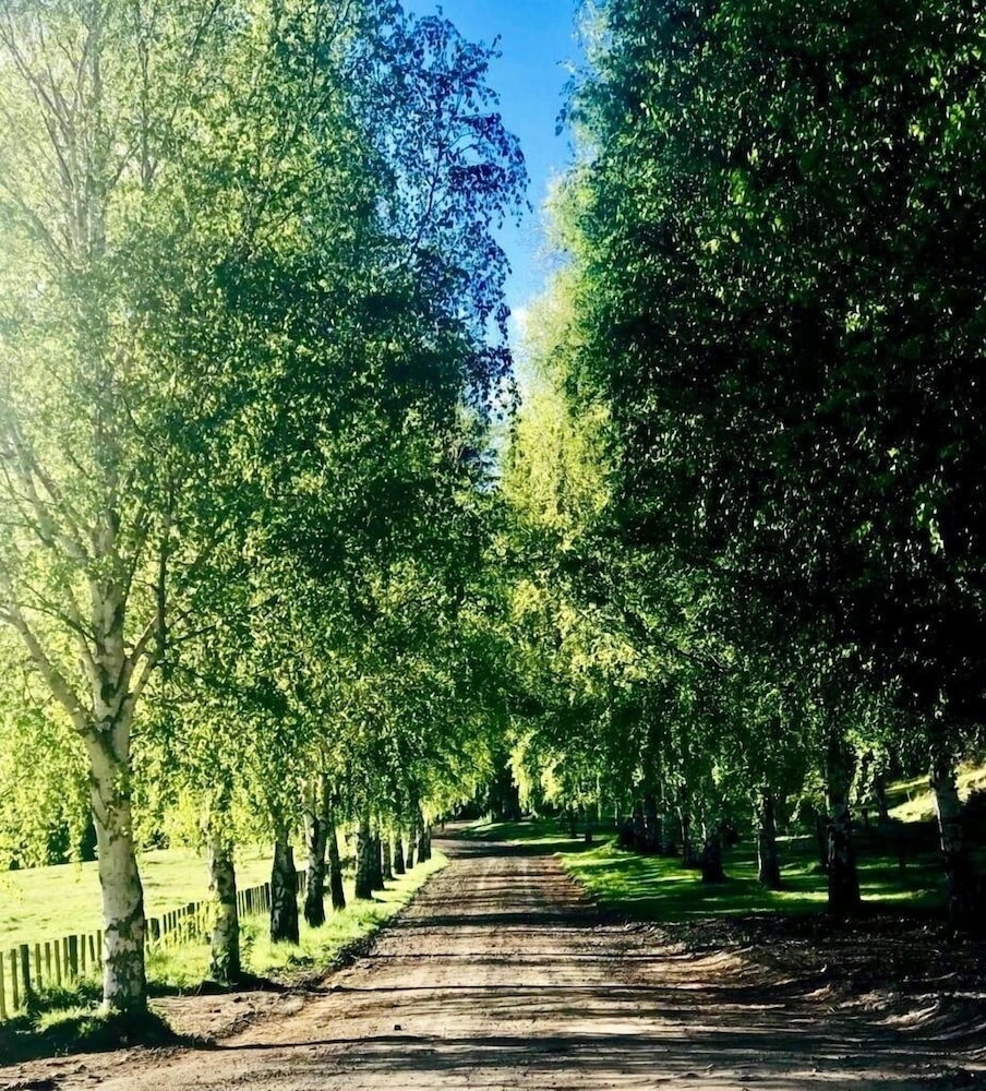 숙박 시설 구내