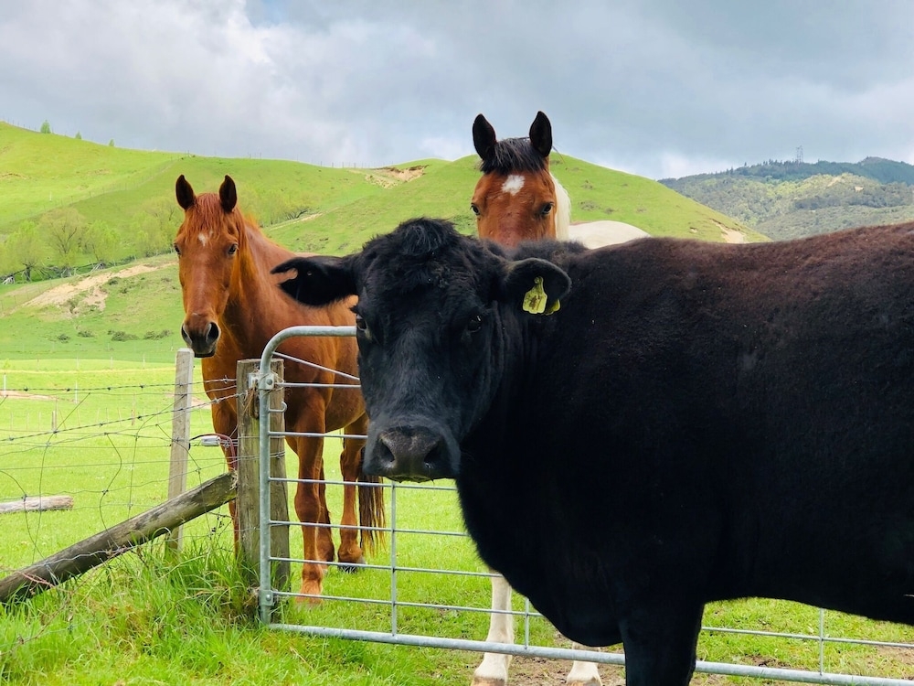 숙박 시설에서 보는 주변 전망