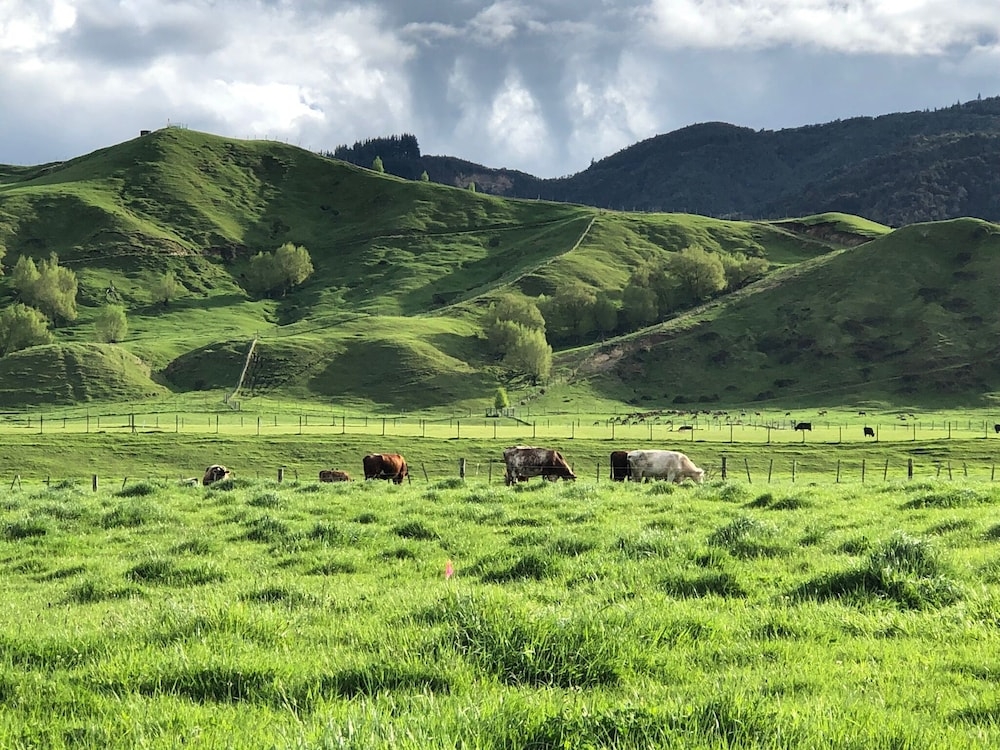 숙박 시설 구내